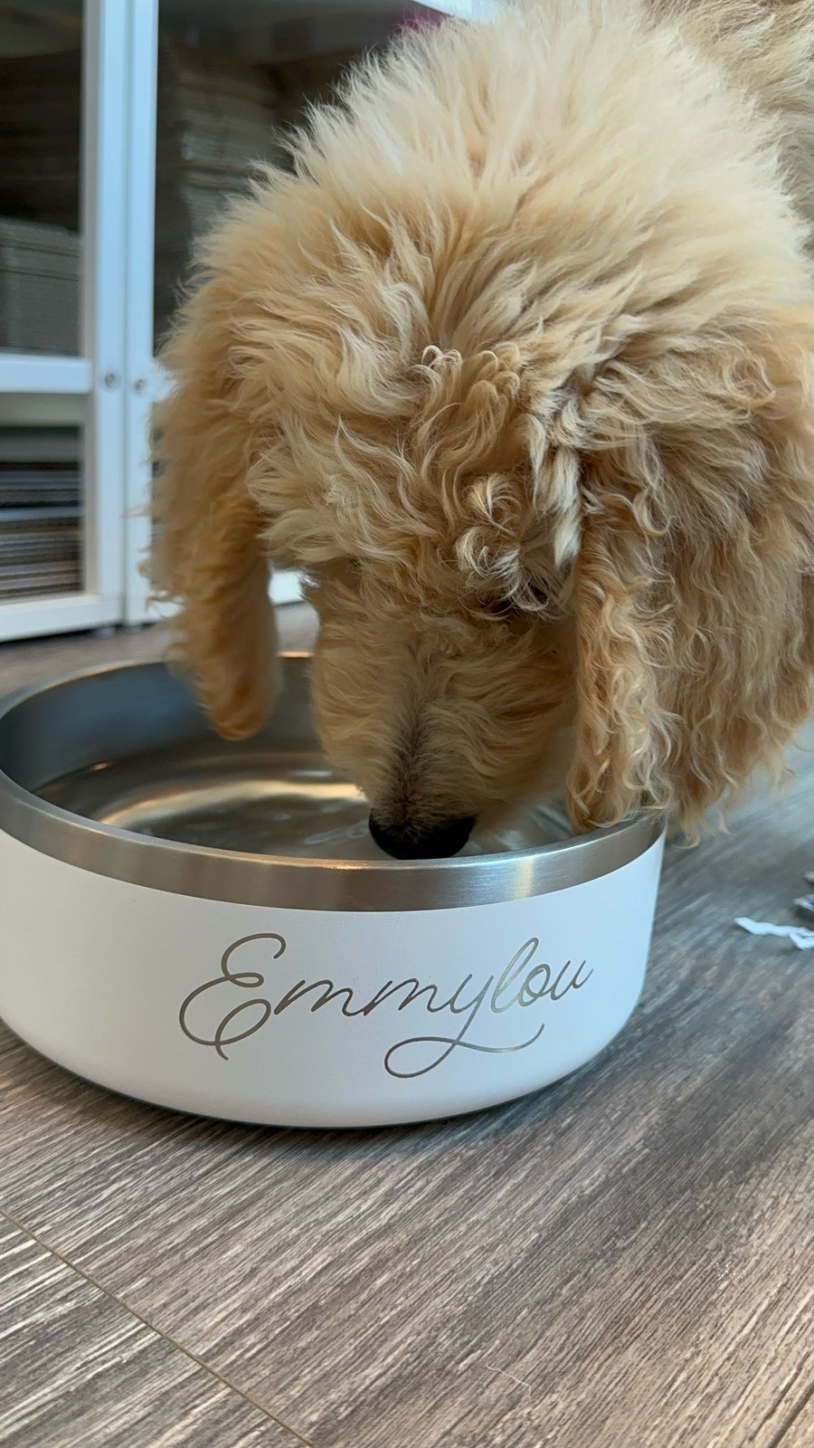 Personalized Pet Bowl