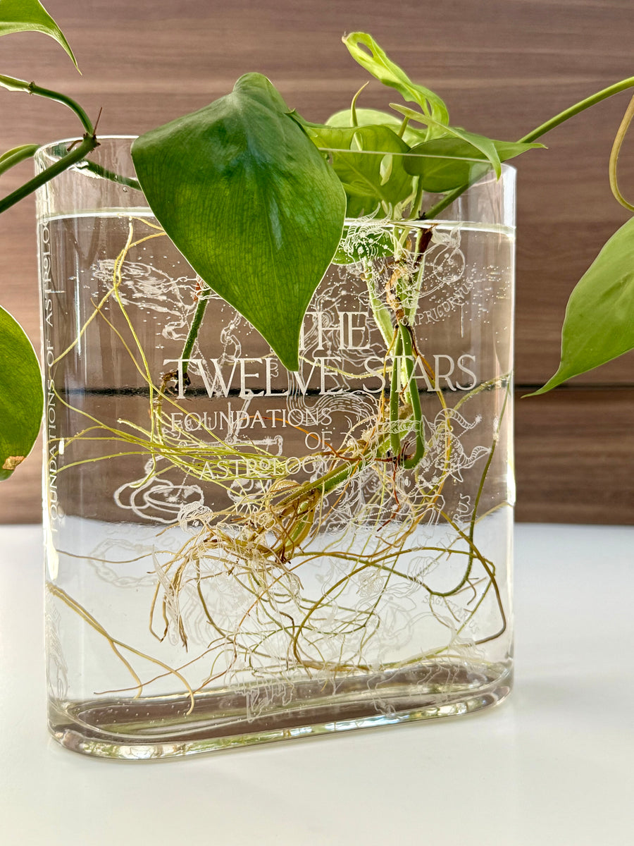 Book Vase